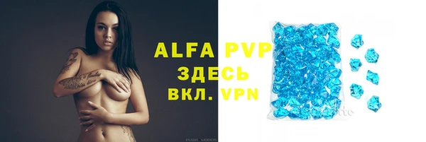 твердый Абаза