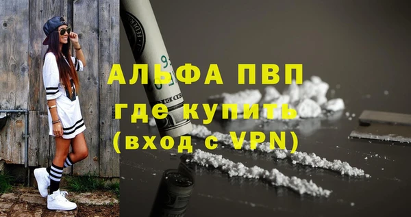 твердый Абаза