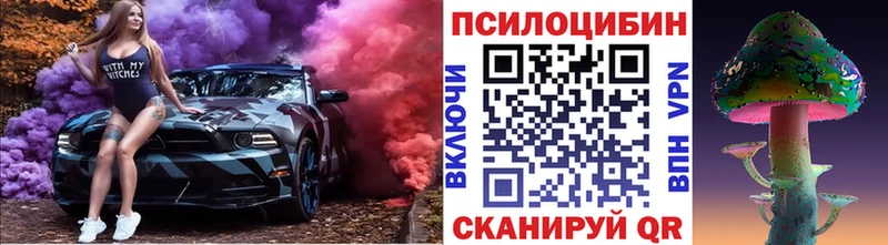закладка Полтавская Псилоцибиновые грибы Cubensis